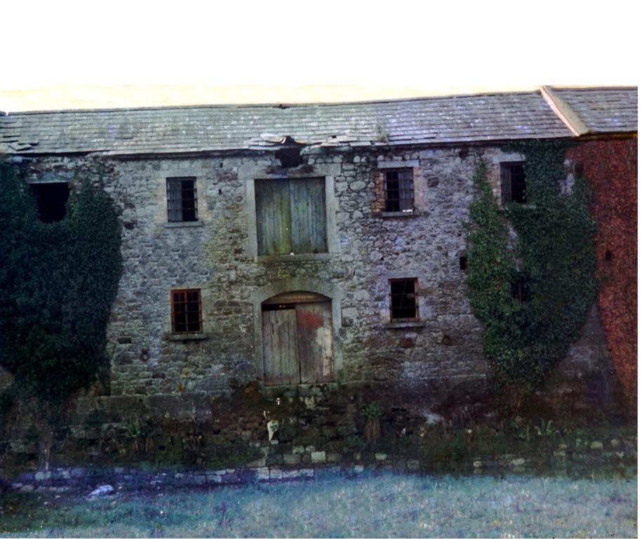 Fort House Bed & Breakfast Kilbeggan Esterno foto