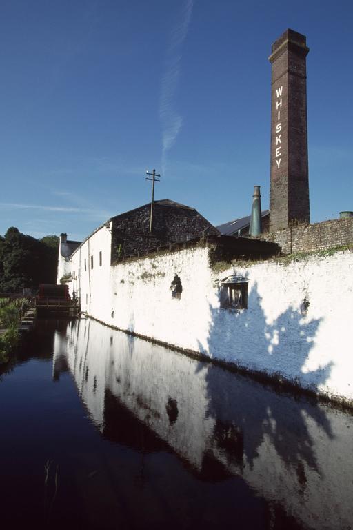Fort House Bed & Breakfast Kilbeggan Esterno foto