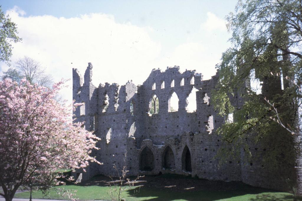 Fort House Bed & Breakfast Kilbeggan Esterno foto
