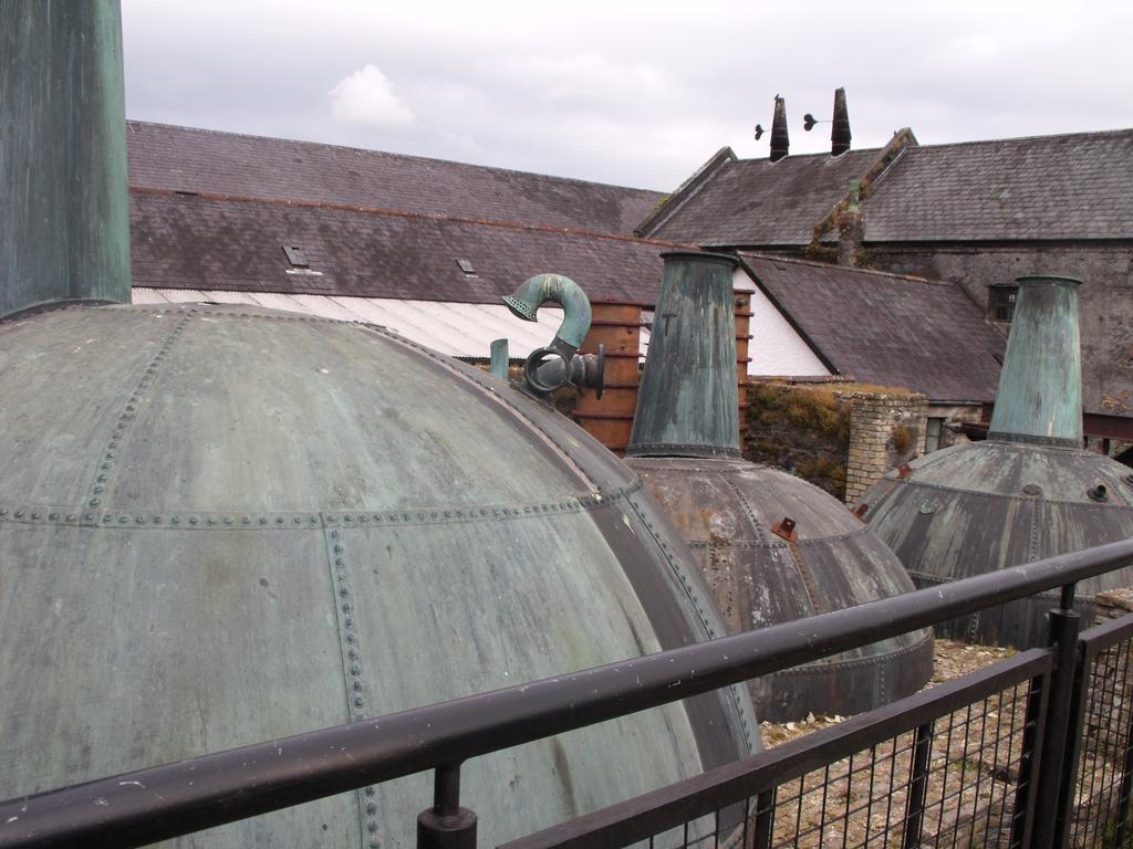 Fort House Bed & Breakfast Kilbeggan Esterno foto